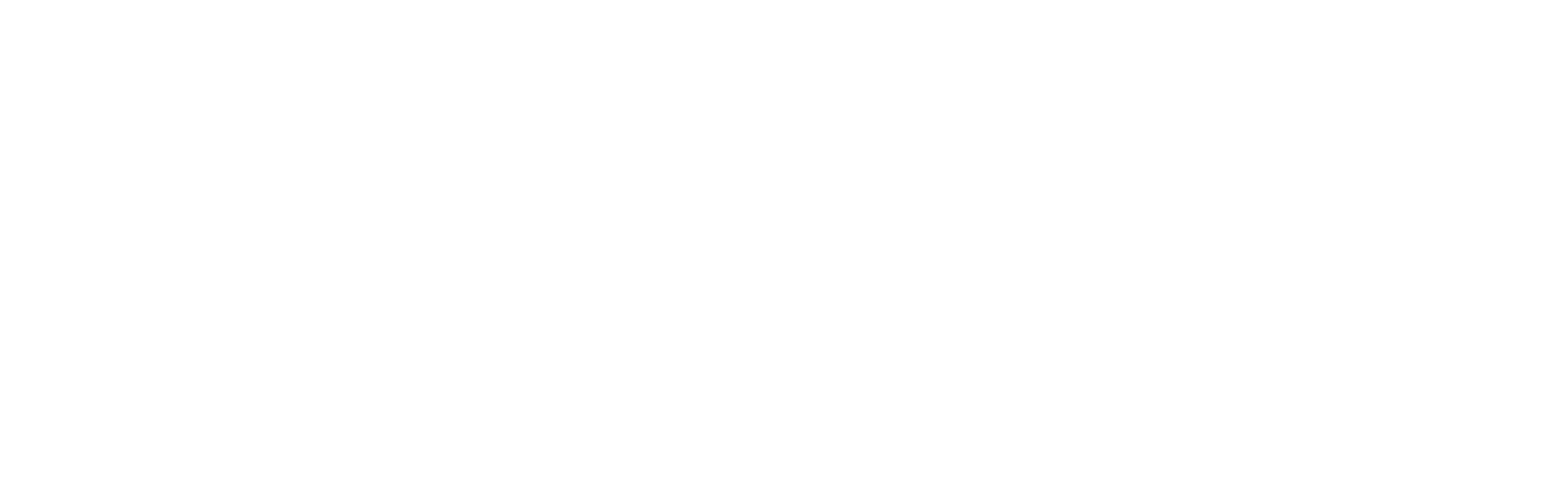 Roller Doors Logo White - Clear Background