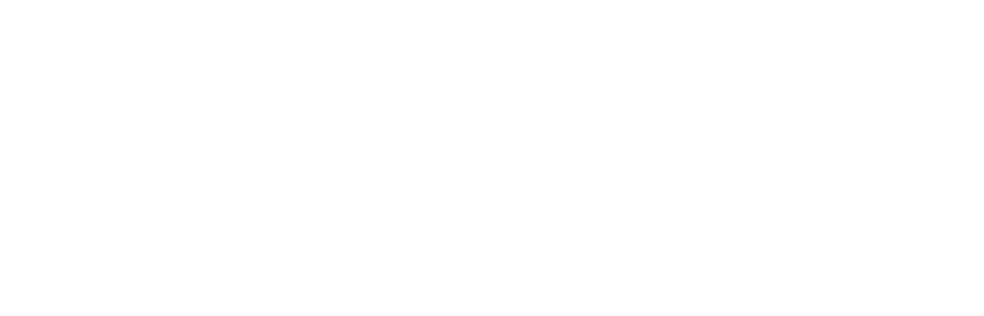 Timbalook Logo White - Clear Background