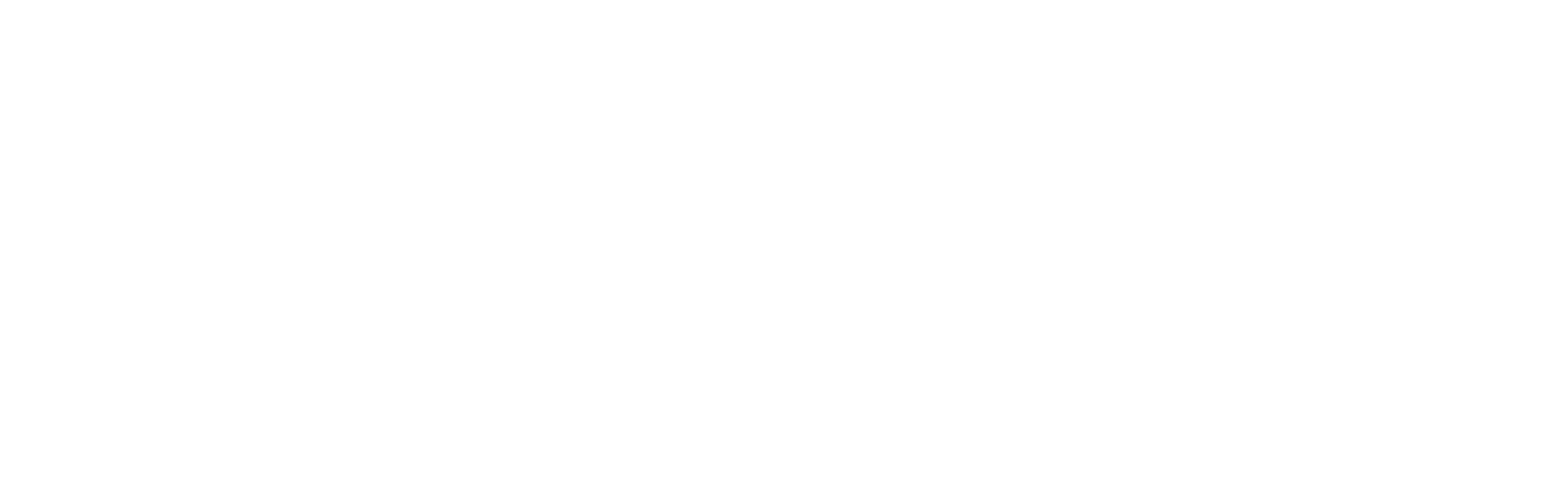 Optidoor Logo White - Clear Background