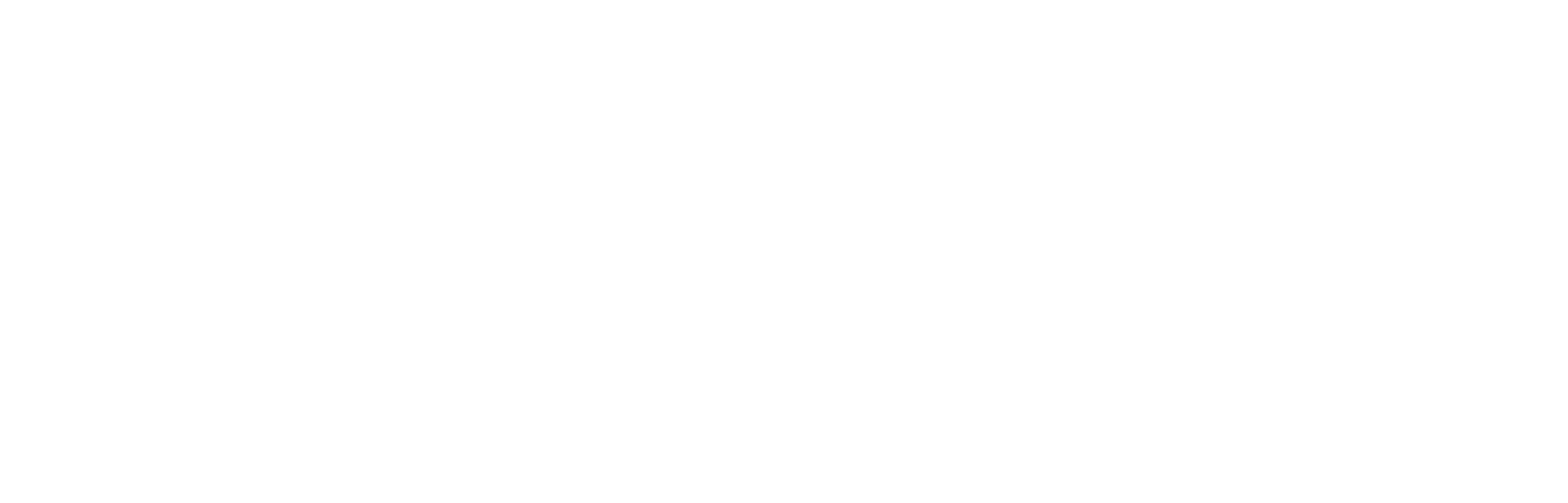 Opticoat Logo White - Clear Background