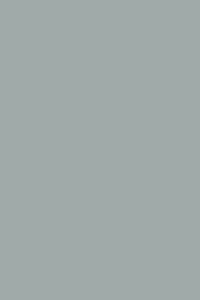 Sage-Doors-Opticoat-Vintage-Mint-Satin