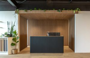 Sage Doors reception desk Opticoat Chicago flexipanel Panther Woodgrain with Timbalook Ohakune battens and wall and ceiling panels